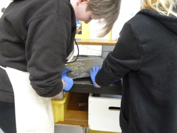 Cleaning the Epoxy Front Hatch 31.01.17